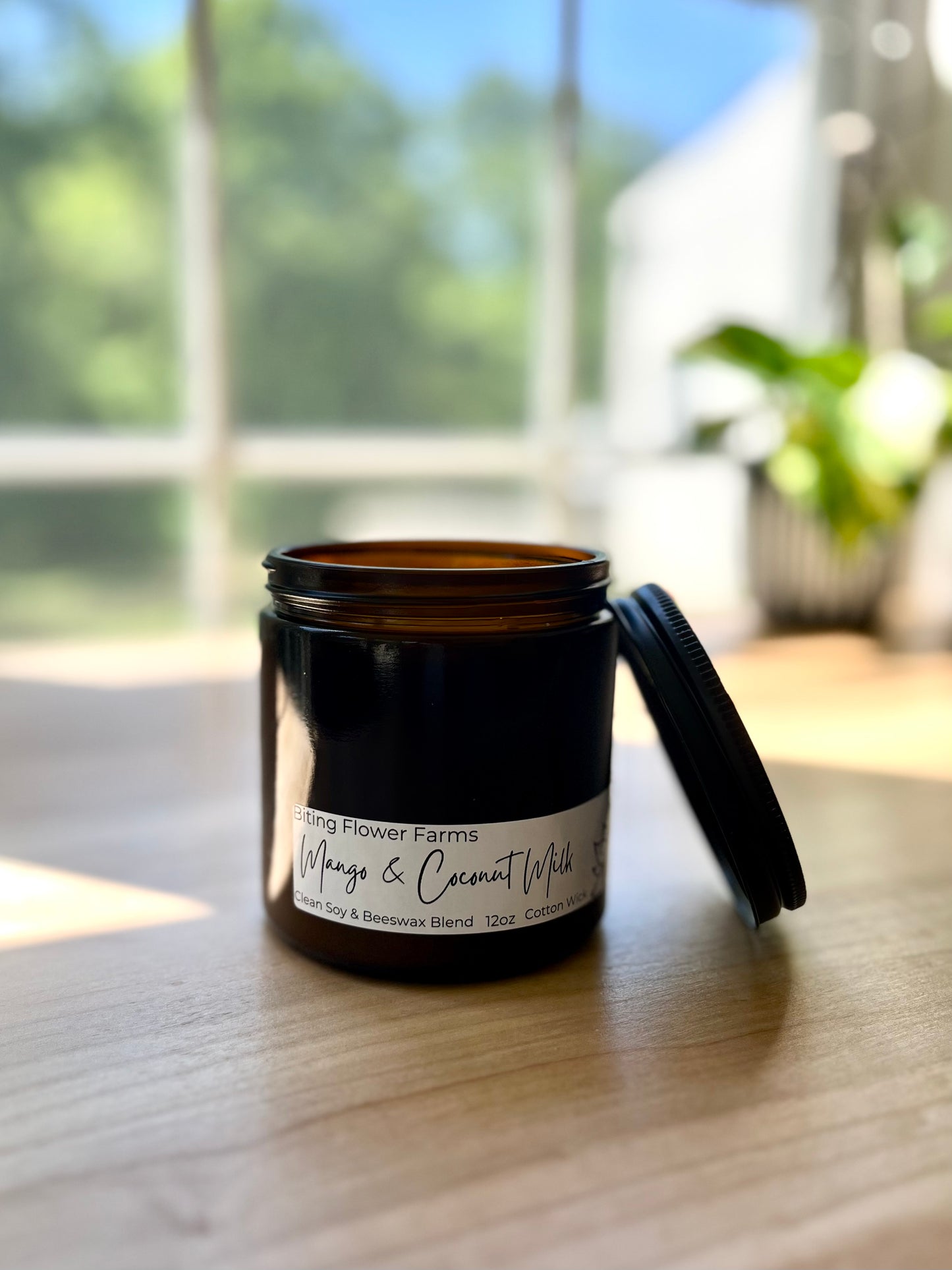 Mango & Coconut Milk