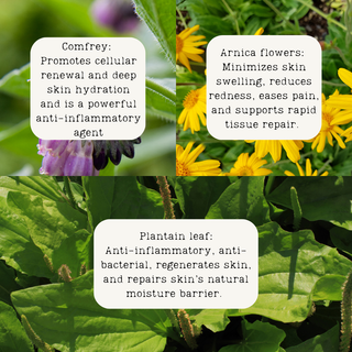 Wildflower Skin Balm
